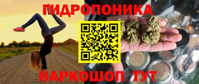 спиды Канаш