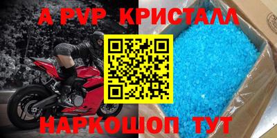 спиды Канаш
