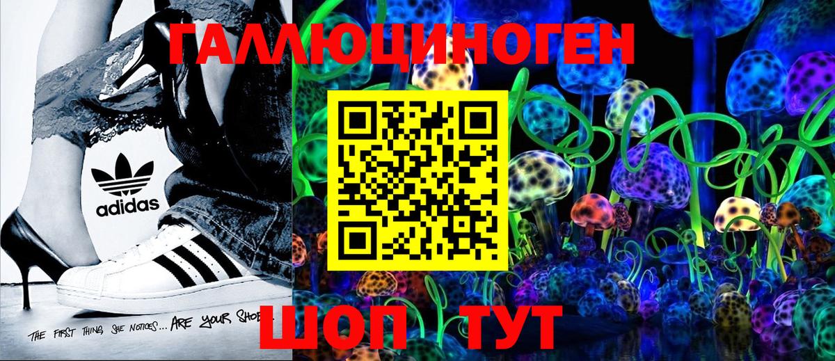 Галлюциногенные грибы мухоморы Горячий Ключ